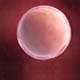 Infertility Donor Programs